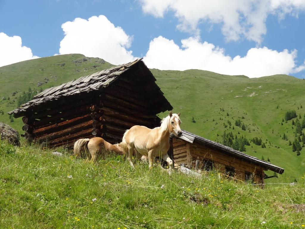 Gaestehaus Zwischenberger Obervellach Exteriér fotografie